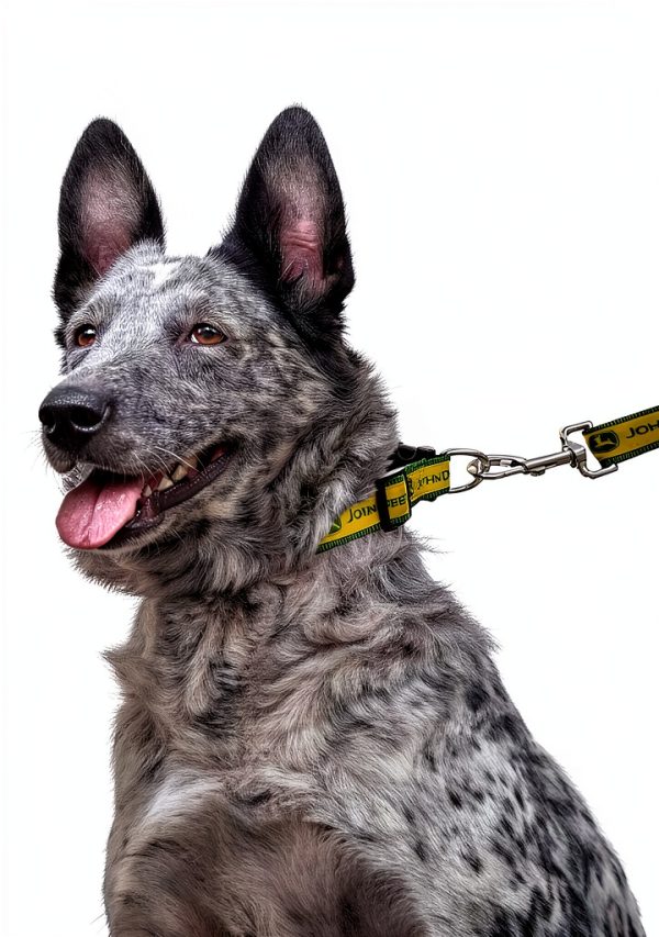 John Deere Pet Leash - Satin Small Leash for Dogs & Cats JOD-3587-SM-5