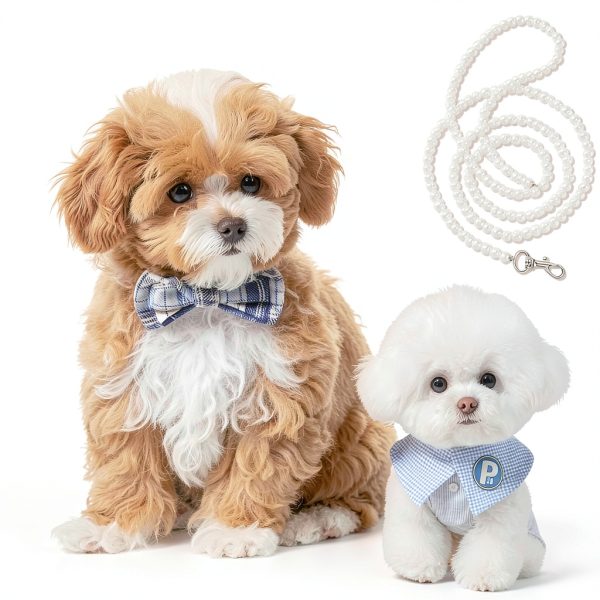 MAYJOYDIY White Pearl Necklace Collar and Beaded Leash for Dog Pet Cat Set, 47.2 inch Beaded Pet Chew-Proof Leash Extension with Alloy Clasp for Small Medium and Large Dogs Pet Supplies-4