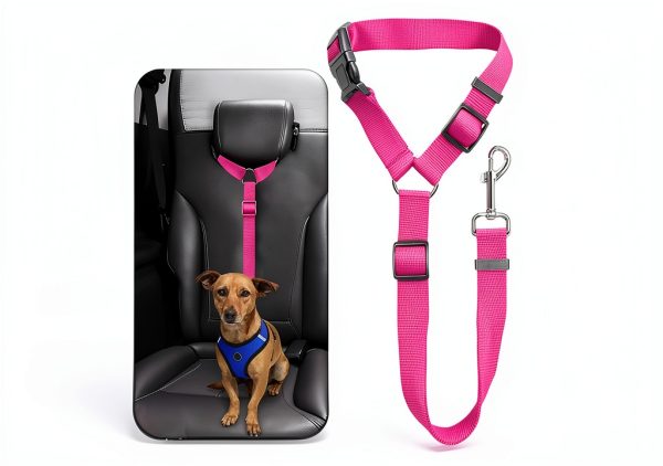 Car Safety Leash Circle Dog Leash Cat Leash-2