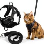 Cat Chest Harness and Leash Set YBEATY Anti-Escape Mesh Grey-0