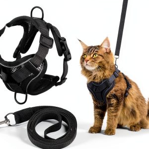 Cat Chest Harness and Leash Set YBEATY Anti-Escape Mesh Grey-0