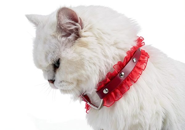 Heart Charm and Lace Edge Red Collar Choker Necklace with Detachable Chain Leash for Dogs Big Cat Pet Cosplay Outfit-4
