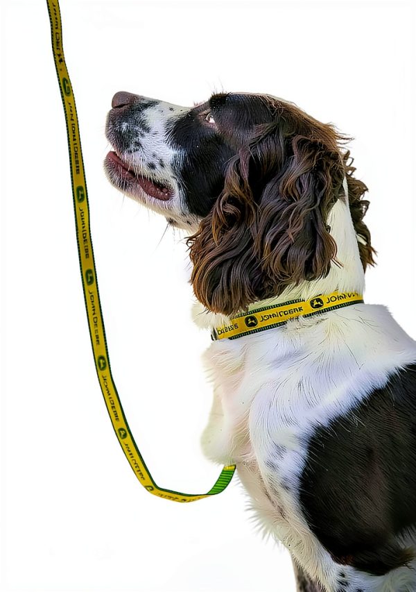 John Deere Pet Leash - Satin Small Leash for Dogs & Cats JOD-3587-SM-2