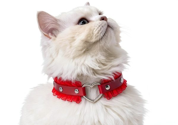 Heart Charm and Lace Edge Red Collar Choker Necklace with Detachable Chain Leash for Dogs Big Cat Pet Cosplay Outfit-3
