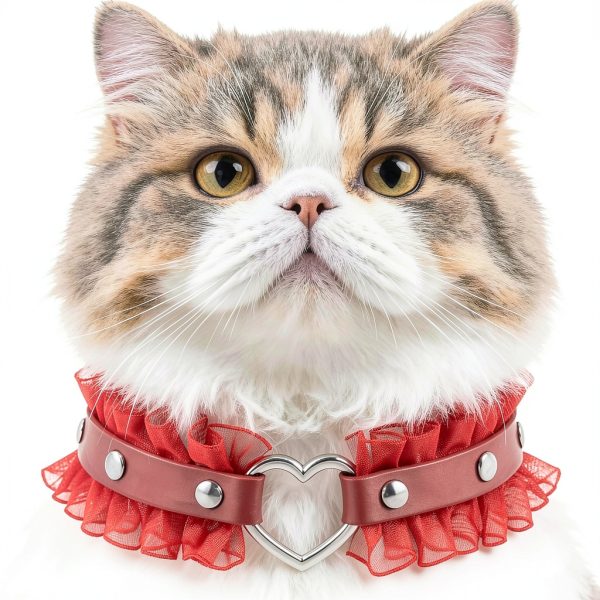 Heart Charm and Lace Edge Red Collar Choker Necklace with Detachable Chain Leash for Dogs Big Cat Pet Cosplay Outfit-1