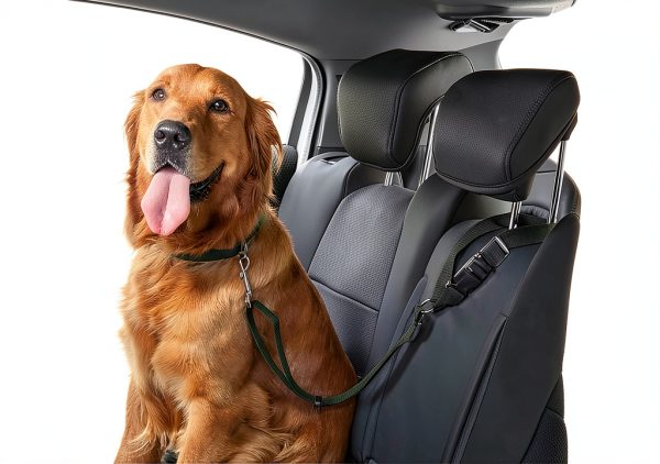 Adjustable Round Pet Car Safety Leash - Ideal for Dogs and Cats, Ensuring Safe Travels-4