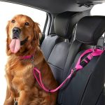 Car Safety Leash Circle Dog Leash Cat Leash-0