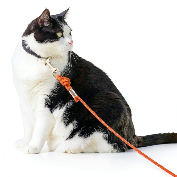 Cat Leash PETPMEEE Reflective Long 30 ft Escape Proof for Cats and-2
