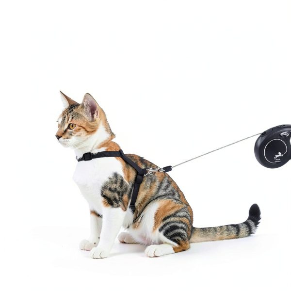 Flexi Cat Leash New Classic Cord Retractable X‑Small 10 ft Black-4