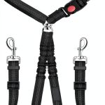 Pet Rope Safety Leash with Reflective Elastic Chain – Black 2.5×75-0