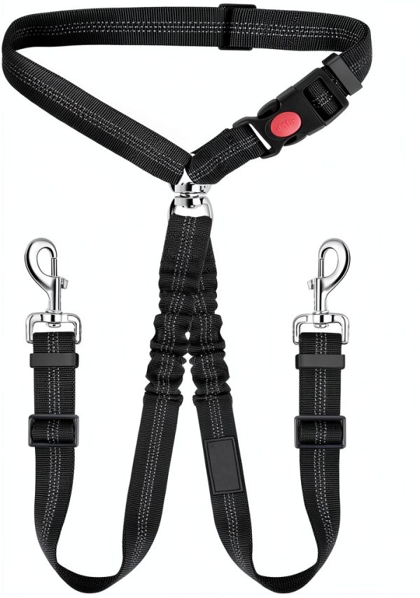 Pet Rope Safety Leash with Reflective Elastic Chain – Black 2.5×75-0