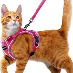 Cat Harness Kaazylab Escape Proof Adjustable Kitten Leash Pink S-0