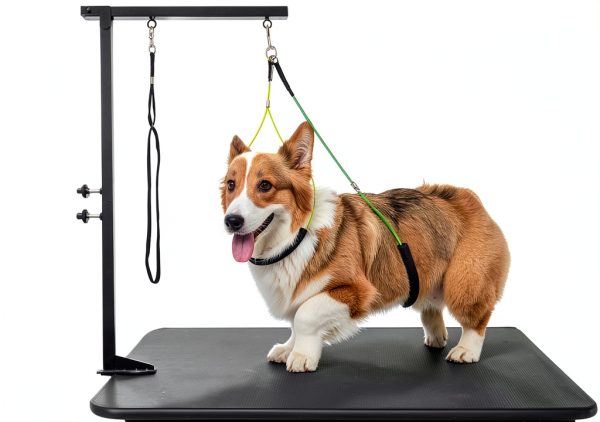 Dog Grooming Arm ZONEXCHIC 40‑Inch Adjustable Stand Haunch Holders-0