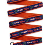 NCAA Pet String, Large, Florida Gators, Dog String, Shiny & Colorful String for Dogs & Cats Licensed by The NCAA, New Version-0