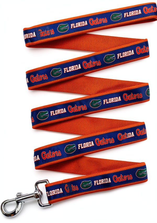 NCAA Pet String, Large, Florida Gators, Dog String, Shiny & Colorful String for Dogs & Cats Licensed by The NCAA, New Version-0