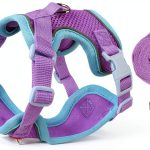 Cat Harness and Leash Set Muejjur Escape-Proof Reflective Vest XL-0