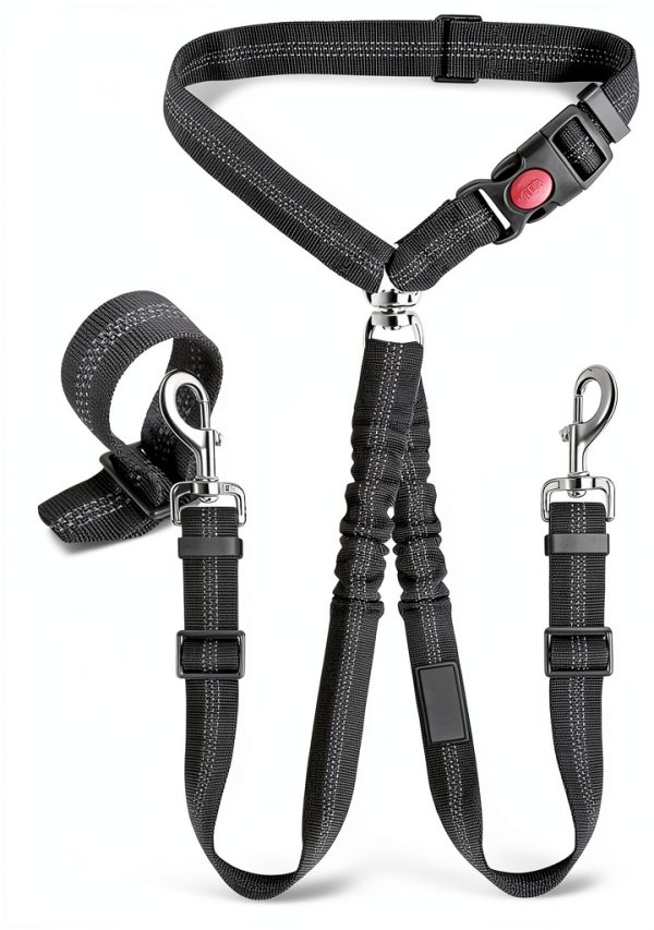 Pet Rope Safety Leash with Reflective Elastic Chain – Black 2.5×75-1
